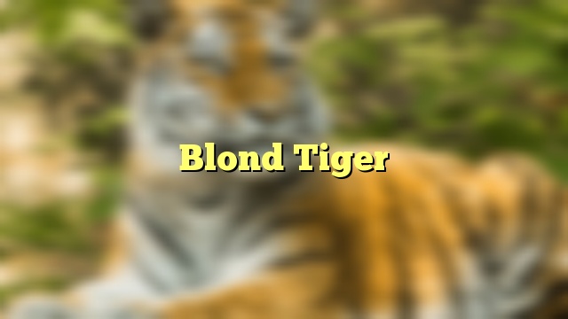 Blond Tiger
