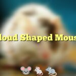 Cloud Shaped Mouse