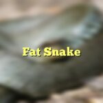Fat Snake