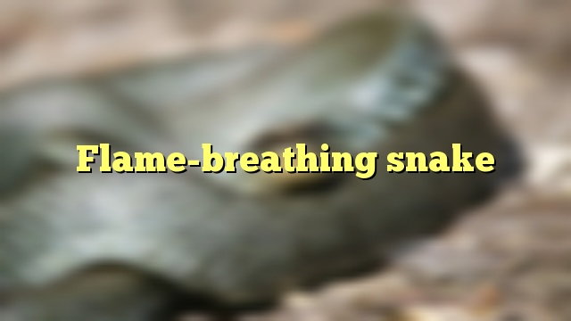 Flame-breathing snake