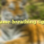 Flame-breathing tiger