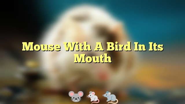 Mouse With A Bird In Its Mouth