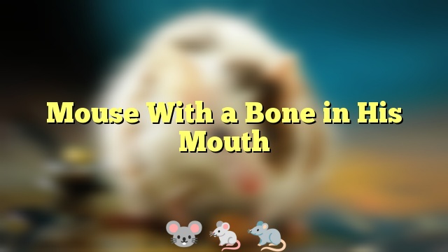 Mouse With a Bone in His Mouth