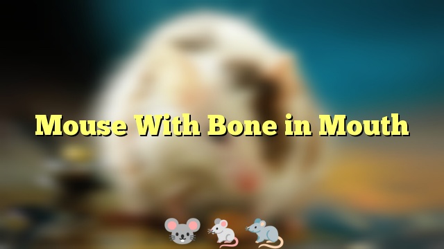 Mouse With Bone in Mouth
