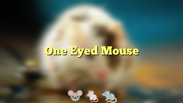 One Eyed Mouse