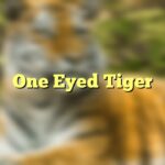 One Eyed Tiger