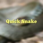 Quick Snake