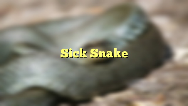 Sick Snake