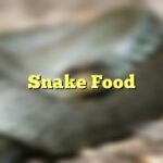Snake Food