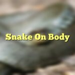 Snake On Body