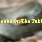 Snake On The Table