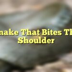 Snake That Bites The Shoulder