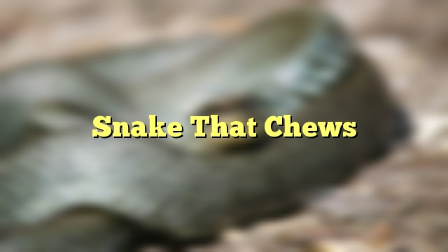 Snake That Chews