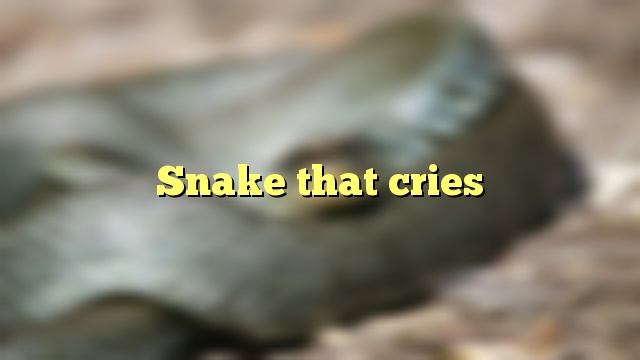 Snake that cries