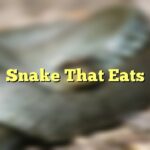 Snake That Eats