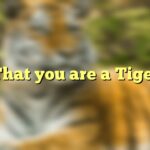 That you are a Tiger