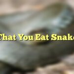 That You Eat Snake