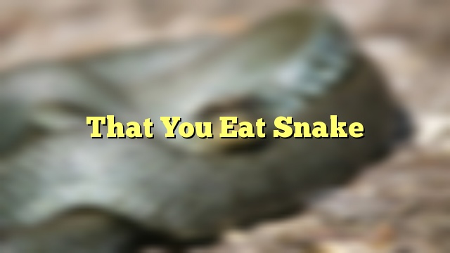 That You Eat Snake