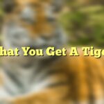 That You Get A Tiger
