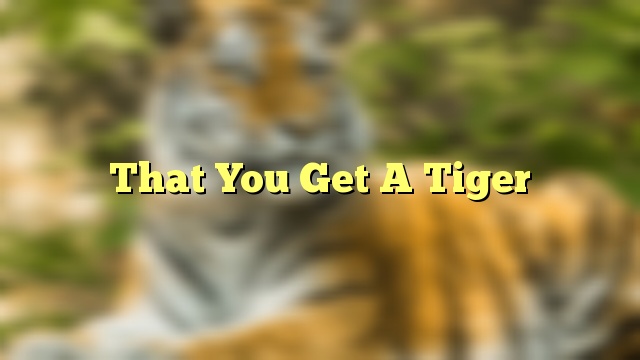 That You Get A Tiger