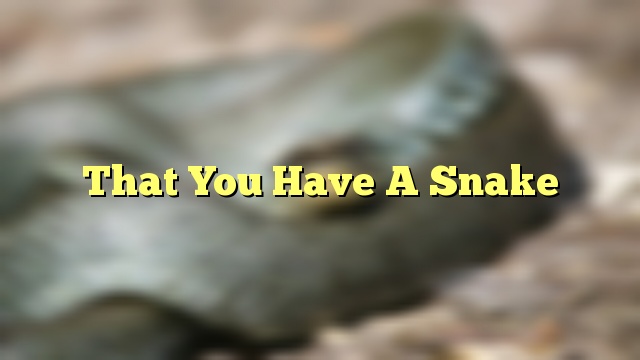 That You Have A Snake