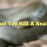That You Kill A Snake