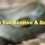 That You Receive A Snake