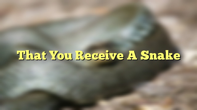 That You Receive A Snake