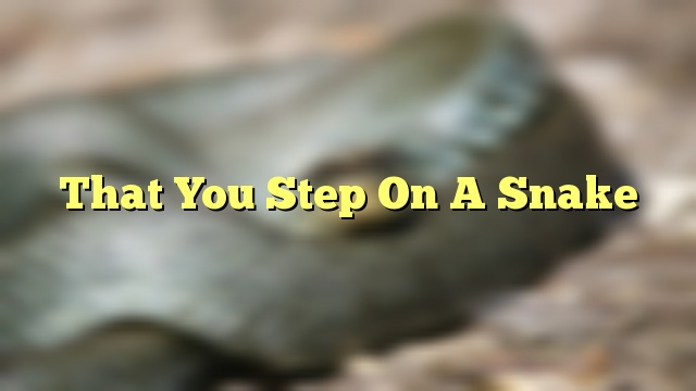 That You Step On A Snake