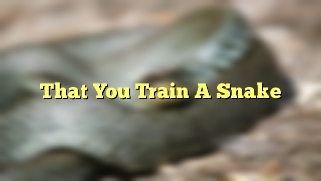That You Train A Snake