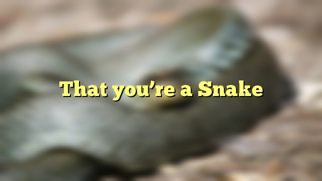 That you’re a Snake