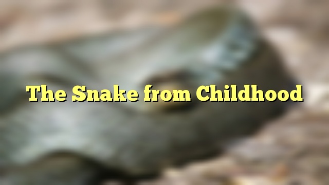 The Snake from Childhood