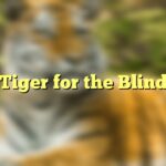 Tiger for the Blind