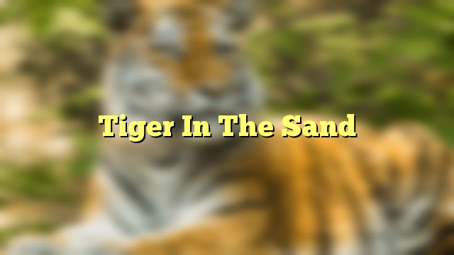 Tiger In The Sand