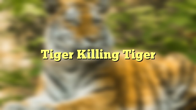 Tiger Killing Tiger