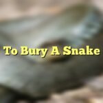 To Bury A Snake